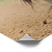 Reitsport Clydesdale Foto Poster (Ecke)