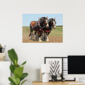 Reitsport Clydesdale Foto Poster (Heimbüro)