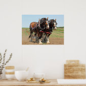 Reitsport Clydesdale Foto Poster (Küche)