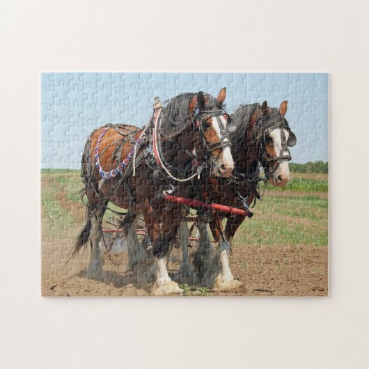 Reitsport Clydesdale Foto Puzzle (Horizontal)