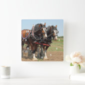 Reitsport Clydesdale Foto Quadratische Wanduhr (Zuhause)