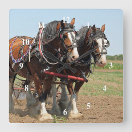 Reitsport Clydesdale Foto Quadratische Wanduhr