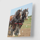 Reitsport Clydesdale Foto Quadratische Wanduhr (Winkel)