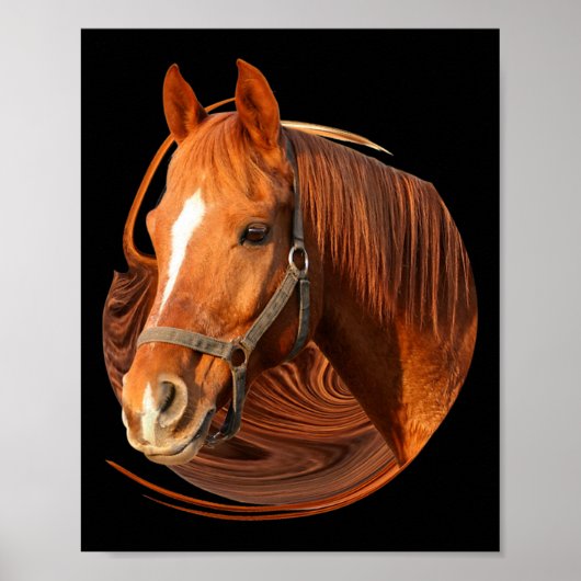 Reitsport Grafik Pferd - Pferdereiter Poster (Vorne)