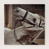 Reitsport Puzzle Andalusien (Horizontal)