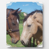 Reitstall Fotoplatte (Vorderseite)