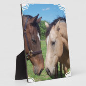 Reitstall Fotoplatte (Seite)