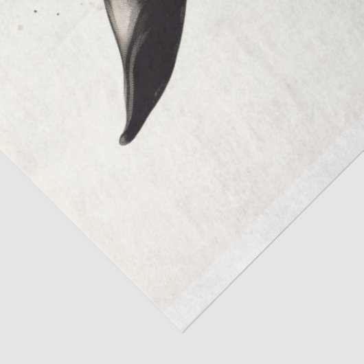 Reitstift Art 1 Dekoupage Papier (Ausschnitt)