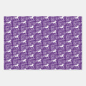 Reittheater Niedlich Girly Geschenkpapier Set (Vorderseite 2)