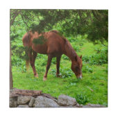 Reittier Fliese (Vorderseite)