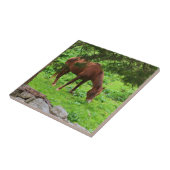 Reittier Fliese (Seite)