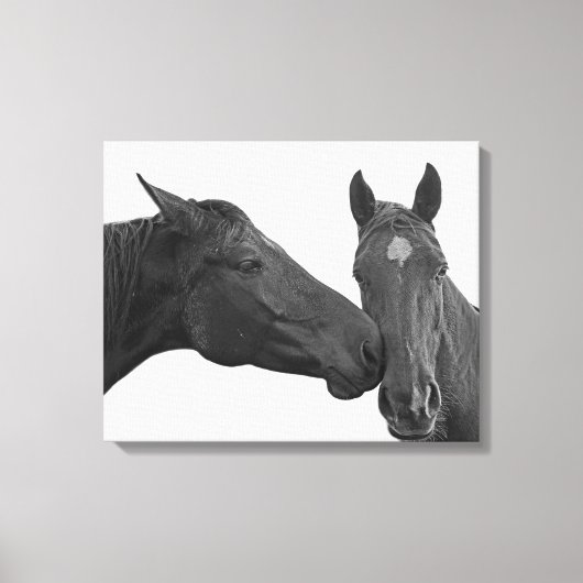 Reittier-Foto Leinwanddruck (Vorderseite)