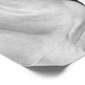 Reittier-Foto Poster (Ecke)