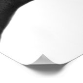 Reittier-Foto Poster (Ecke)