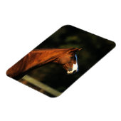 Reittier-Headshot Magnet (Linke Seite)