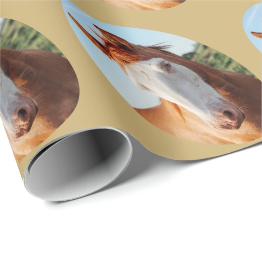 Reittier - Ihr Pferdegeschenk Geschenkpapier (Rolleneckpunkt)