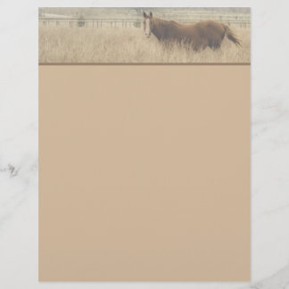 Reittier Letterhead