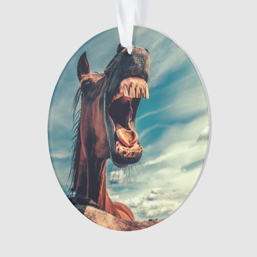 Reittier Ornament (Vorderseite)