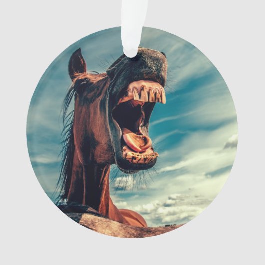 Reittier Ornament (Vorderseite)