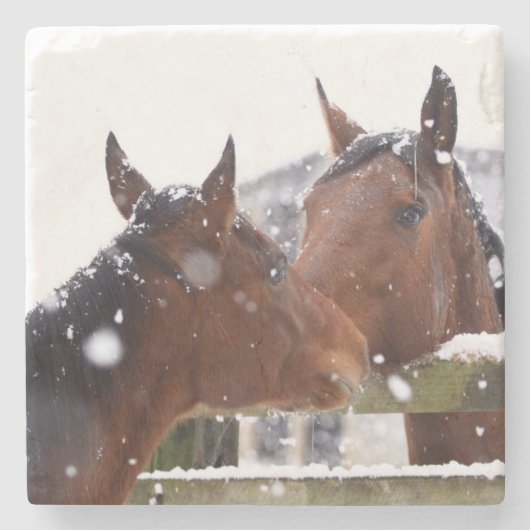 Reittier Steinuntersetzer (Vorderseite)