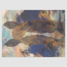 Reittiere-Entführung