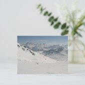 Reittiere Postkarte (Stehend Vorderseite)