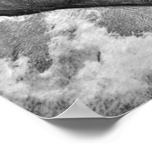 Reittiere rustikalen Bauernstil Poster (Ecke)