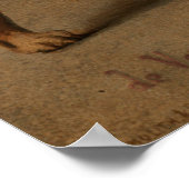 Reittiere von Affen Poster (Ecke)