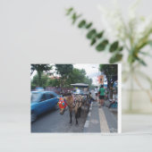 Reittour @ Bali Postkarte (Stehend Vorderseite)