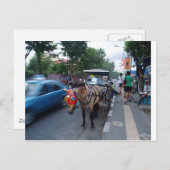 Reittour @ Bali Postkarte (Vorne/Hinten)