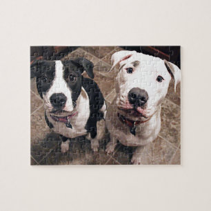 reizend Pitbull-Welpen Hunde Puzzle