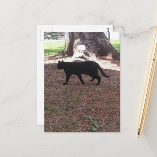 reizend Streuner-Schwarzkätzchen Postkarte (Vorderseite/Rückseite Beispiel)