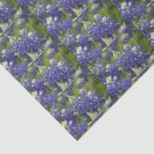 Reizende blaue seidenpapier (Ausschnitt)