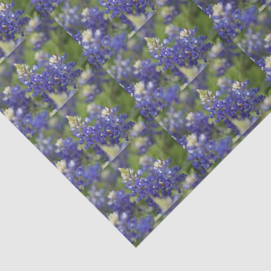 Reizende blaue seidenpapier (Ausschnitt)