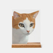 Reizende Ginger-Katzen-Kunst Acrylschild (Vorderseite)