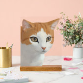 Reizende Ginger-Katzen-Kunst Acrylschild (Hochzeit)