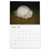 reizende Häschen Kalender (Feb 2027)