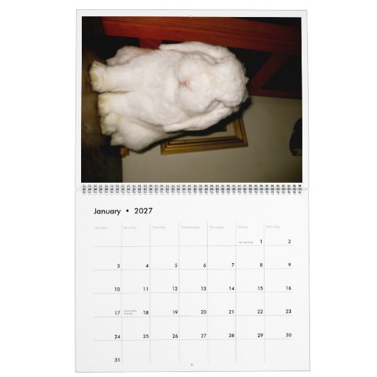 reizende Häschen Kalender (Jan 2027)