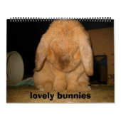 reizende Häschen Kalender (Titelbild)