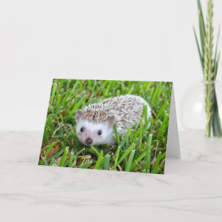 Reizende Hedgehog Blank Card Feiertagskarte