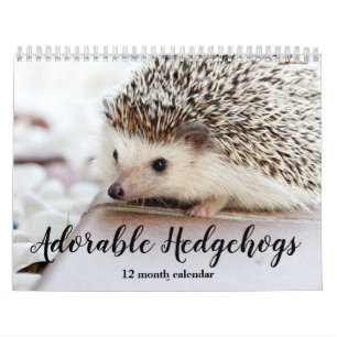 Reizende Igel 2027 Kalender
