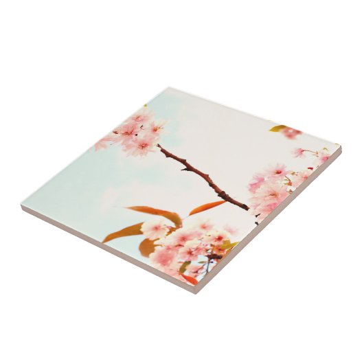 Reizende japanische Kirschblüte Fliese (Seite)