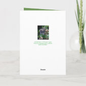 Reizende Kitten Birthday Card Karte (Rückseite)