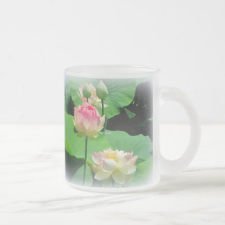 Reizende Lotos-Blume u. Knospen-mattiertes Glas Mattglastasse