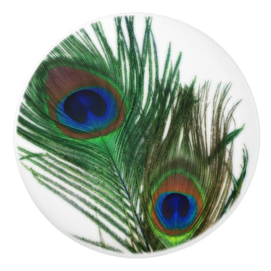 Reizende Pfau-Feder Keramikknauf (Vorderseite)