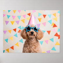 Reizende Pudelparty