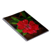 Reizende Regentropfen auf rotem Notizblock (Rechte Seite)