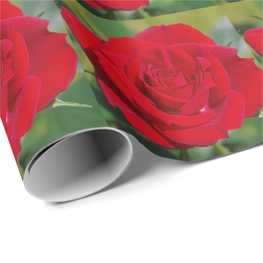 Reizende Rote Rose Geschenkpapier (Rolleneckpunkt)