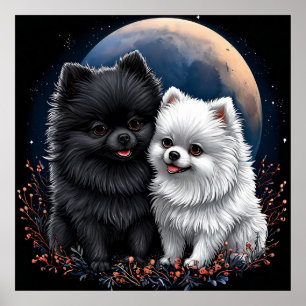 Reizende schwarze und weiße Pomeranian-Welpen Poster
