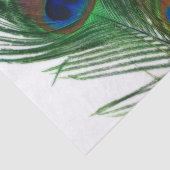 Reizende weiße Pfau-Feder Seidenpapier (Ausschnitt)